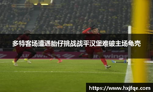 多特客场遭遇胎仔挑战战平汉堡难破主场龟壳