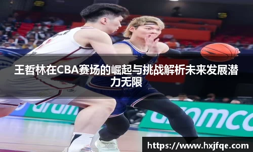 王哲林在CBA赛场的崛起与挑战解析未来发展潜力无限